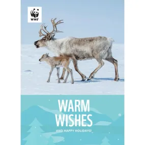 Wildlife holiday greeting cards